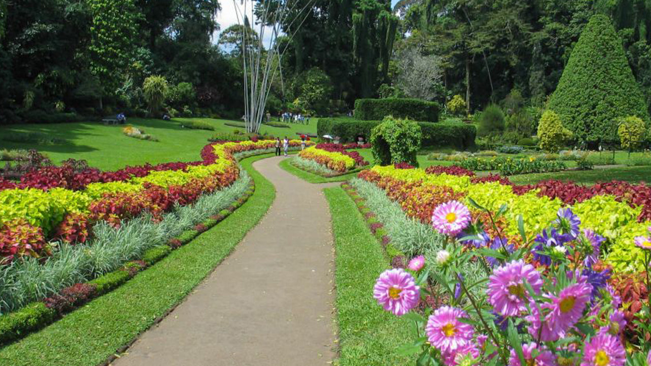 Excursión a Pinnawala y Kandy desde Colombo