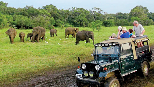 Safari en el Parque Nacional de Bundala desde Koggala