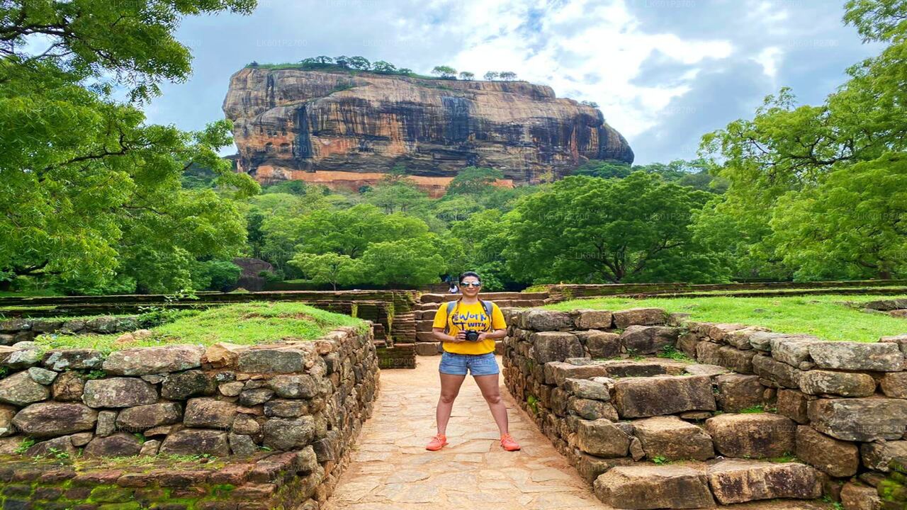 Safari por la roca de Sigiriya y elefantes salvajes desde Negombo