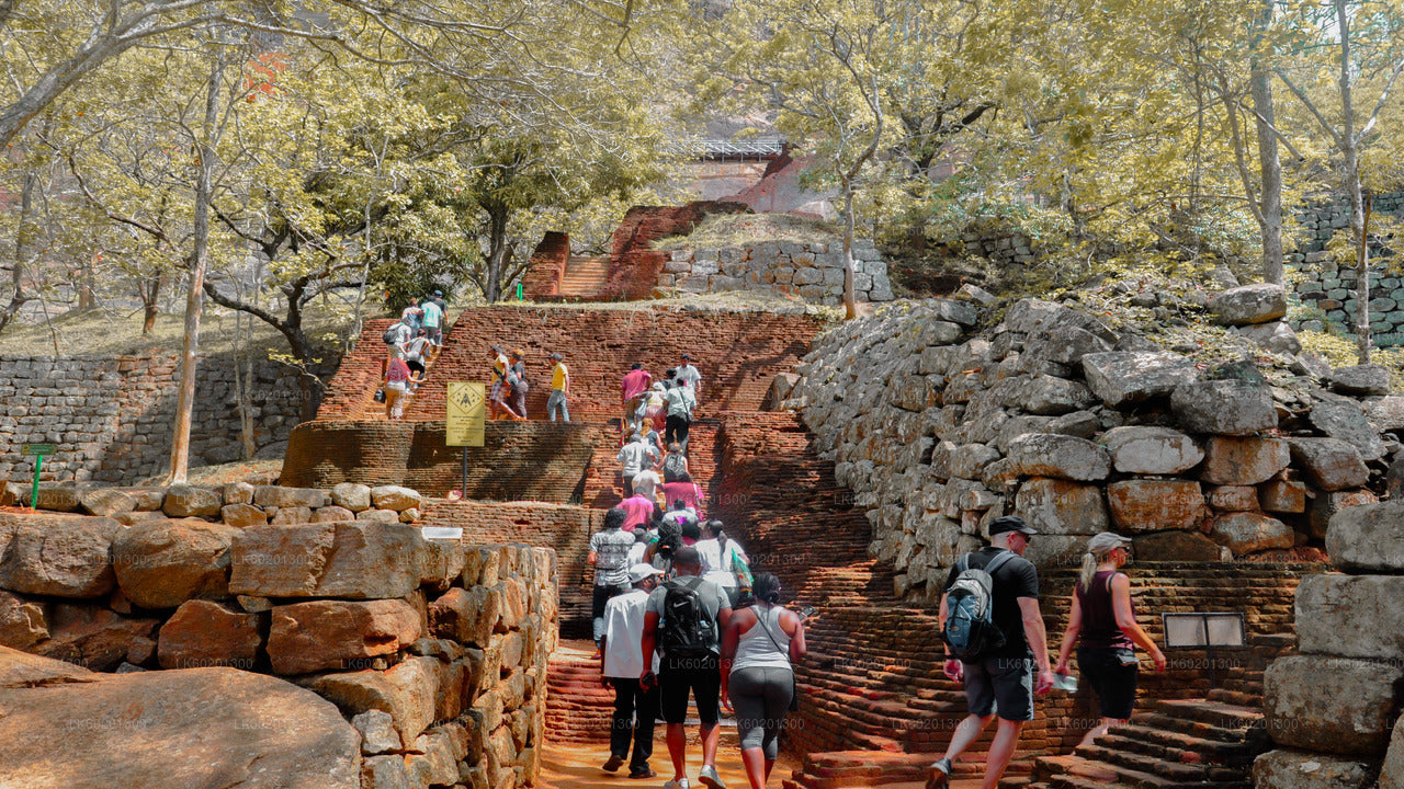 Excursión a la roca y al pueblo de Sigiriya desde Sigiriya