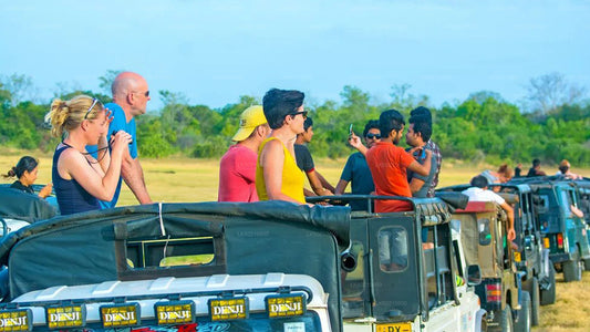 Safari en el Parque Nacional de Bundala desde Tangalle