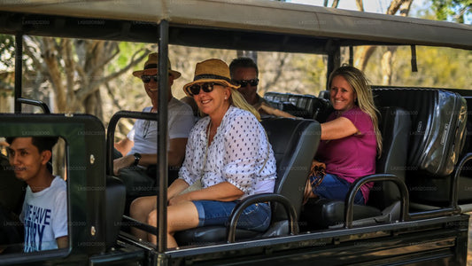 Safari en el Parque Nacional de Yala desde Weligama