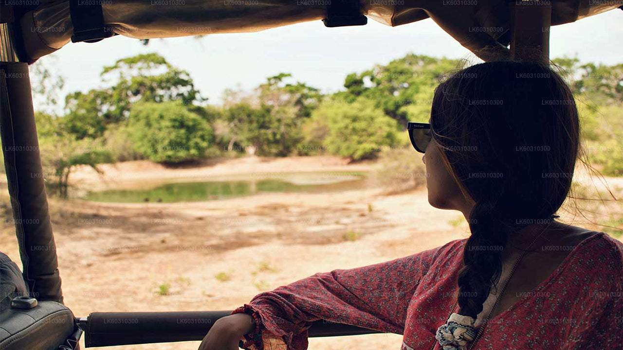 Safari en el Parque Nacional de Yala desde Tangalle