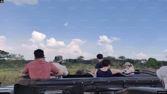 Safari privado al parque ecológico Hurulu desde Habarana