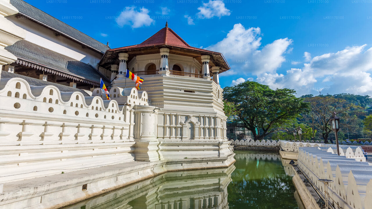 Visita a la ciudad de Kandy