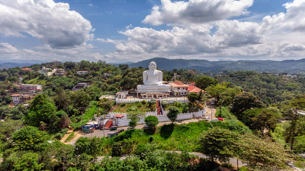 Visita a la ciudad de Kandy