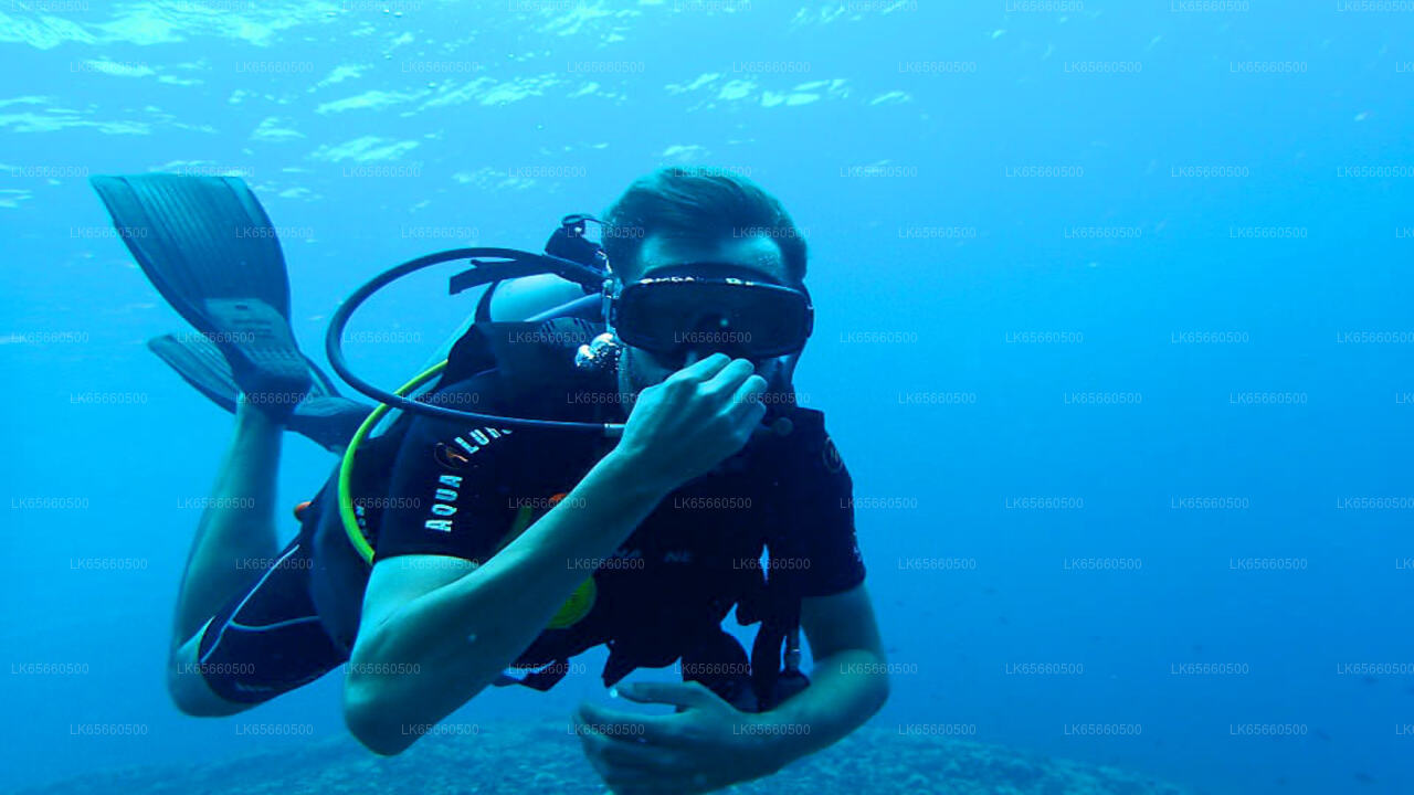 Paquete de buceo de aventura desde Mount Lavinia