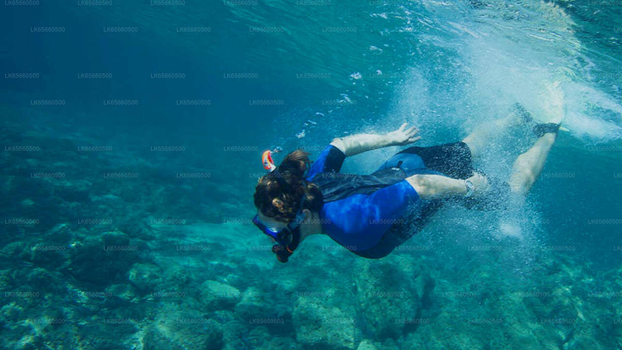 Paquete de buceo de aventura desde Mount Lavinia