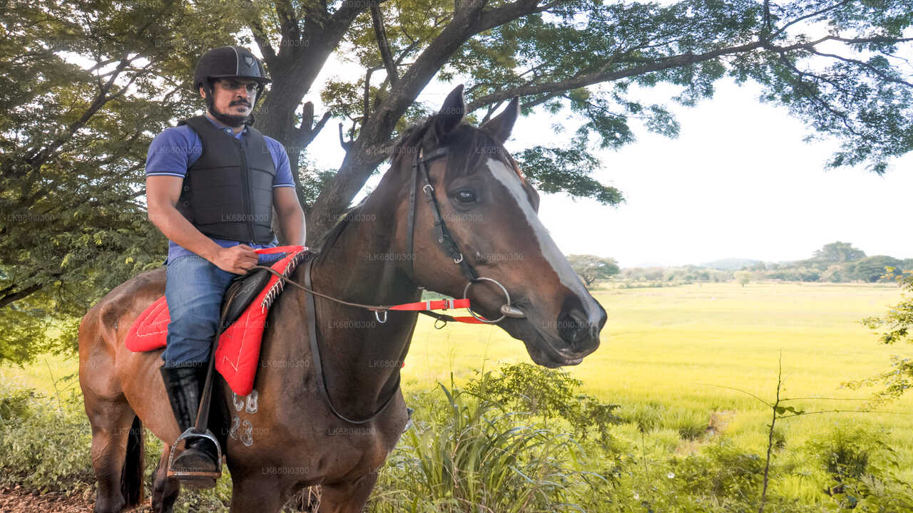 Horse Ride around a Village from Dambulla