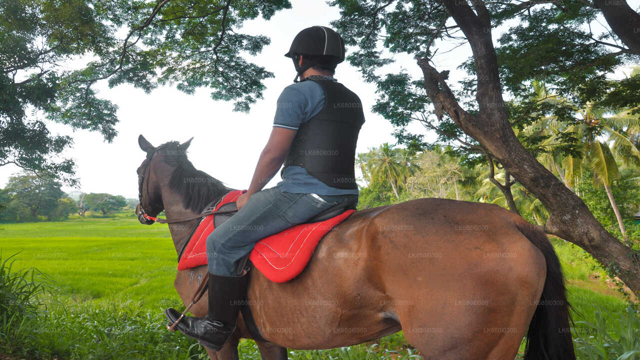 Horse Ride around a Village from Dambulla