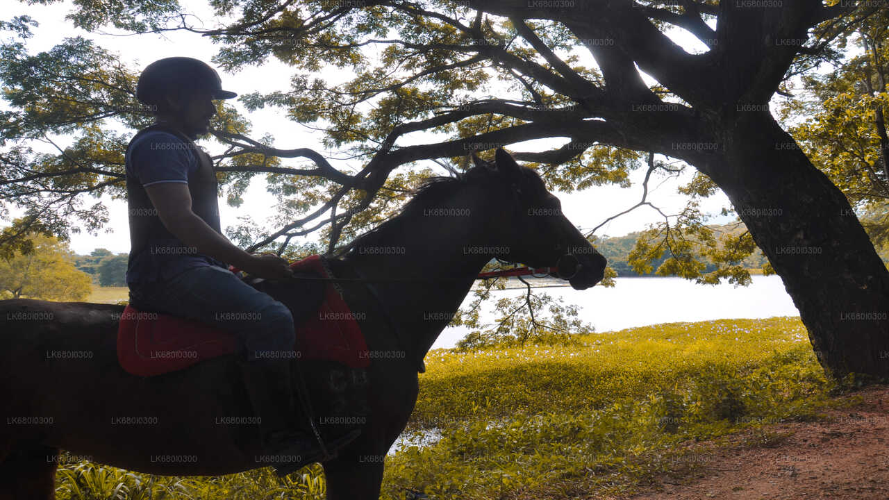 Horse Ride around a Village from Dambulla