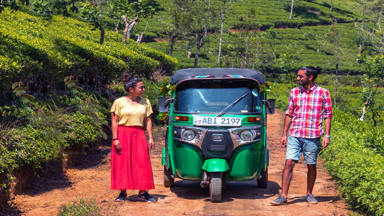 Nuwara Eliya Tuk Tuk Adventure