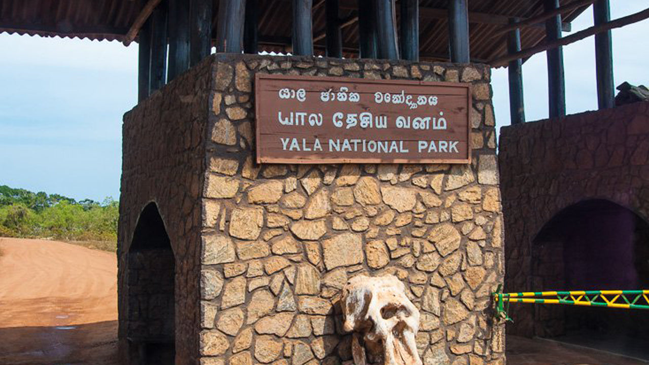 Boleto de entrada al Parque Nacional Yala