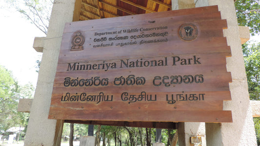 Boleto de entrada al Parque Nacional Minneriya