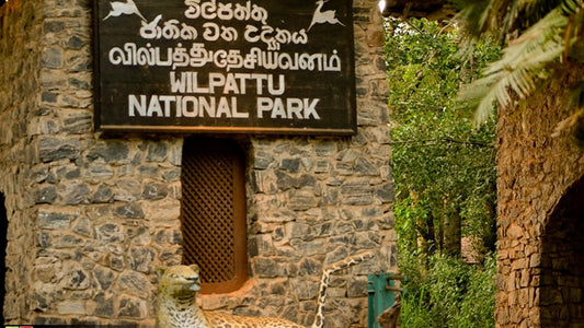 Entradas al Parque Nacional Wilpattu