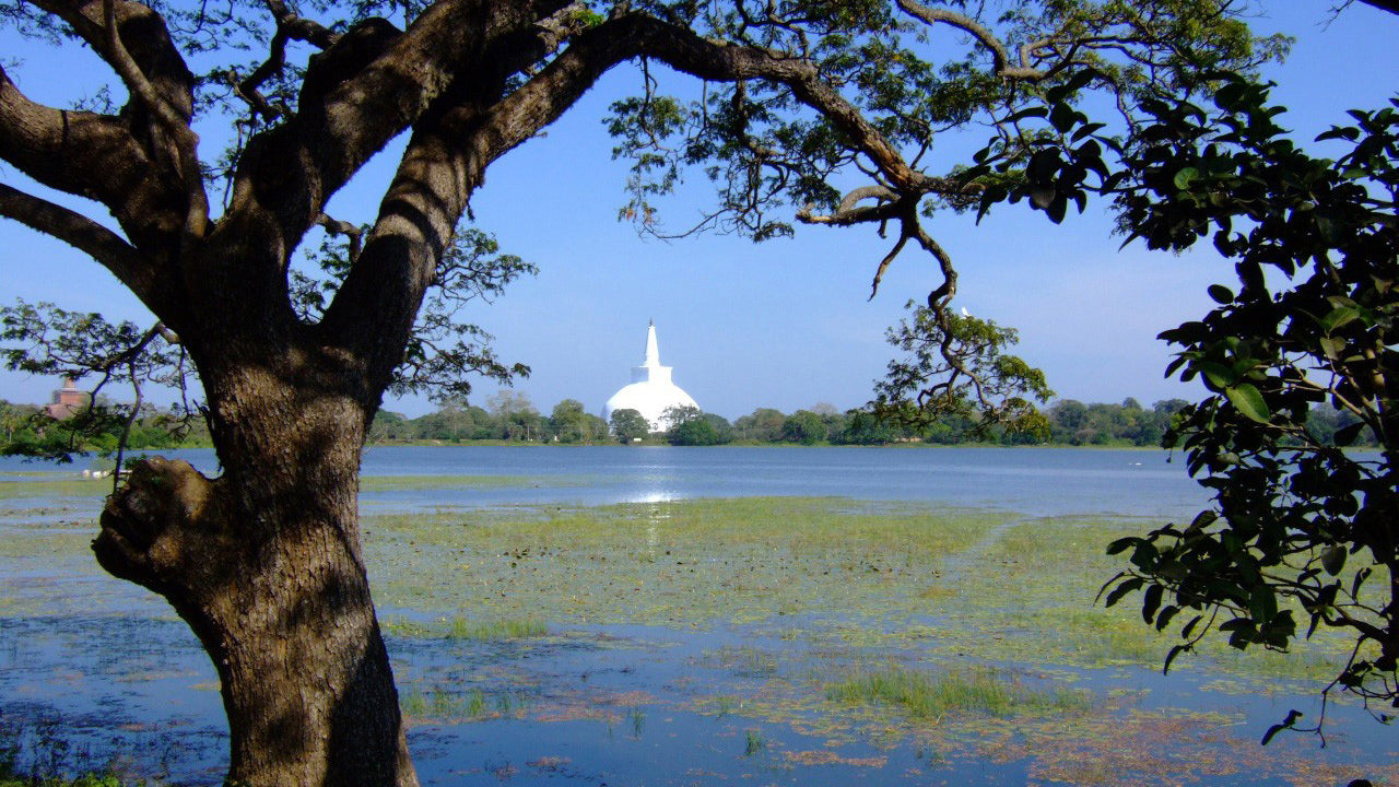 Boleto de entrada al área sagrada de Anuradhapura