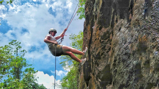 Escalada en roca forestal desde Horana