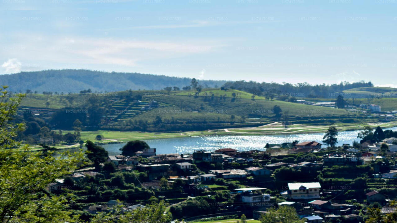 Excursión a la aldea de Heeloya desde Kandy