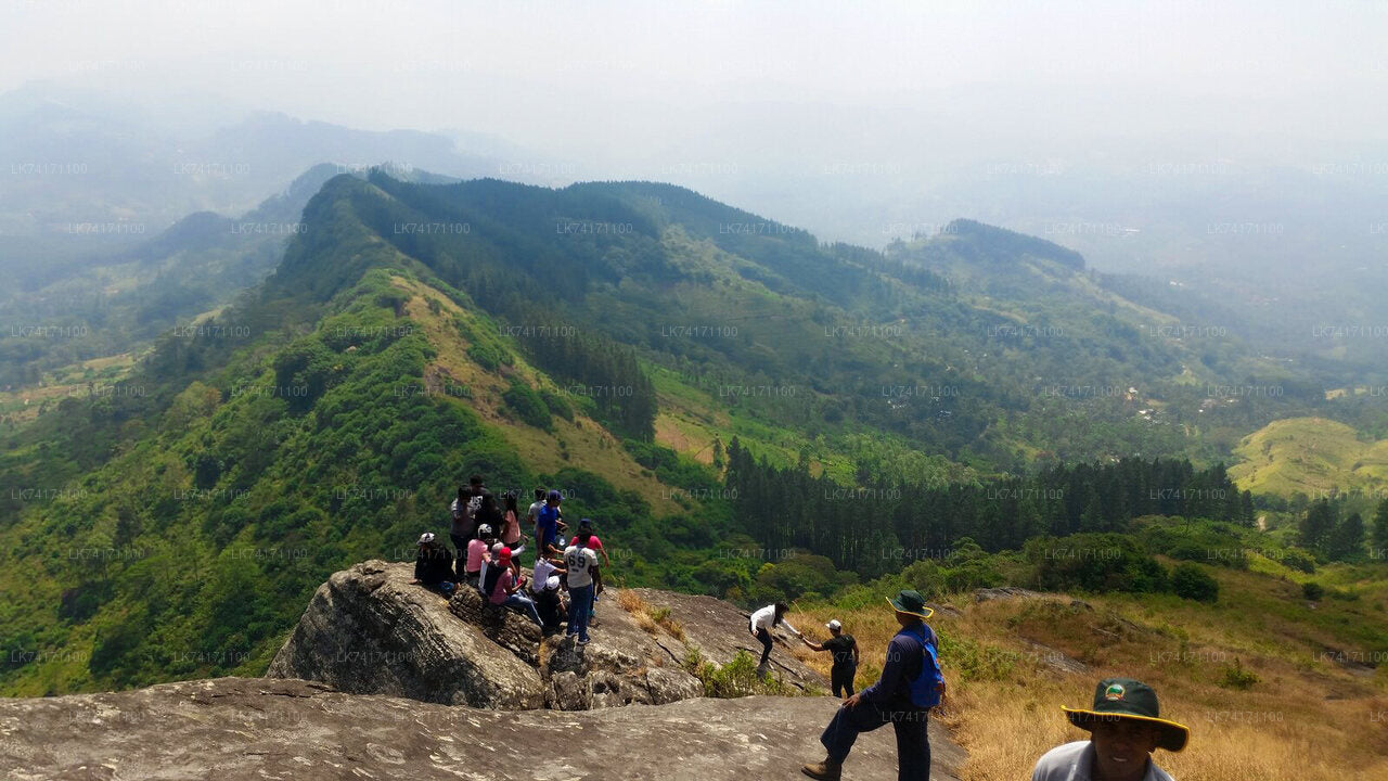 Excursión a la aldea de Heeloya desde Kandy