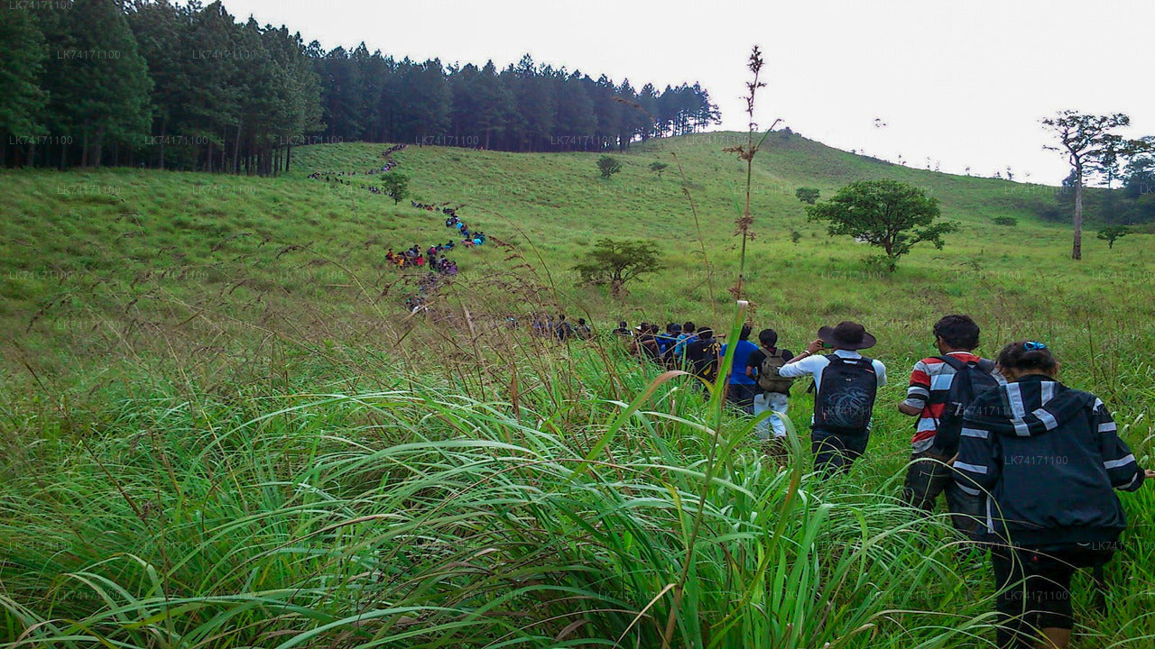 Excursión a la aldea de Heeloya desde Kandy