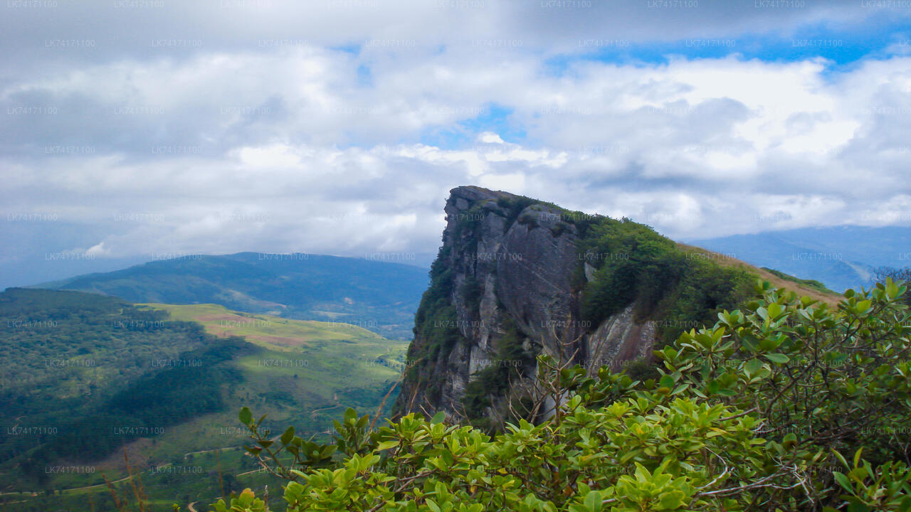 Excursión a la aldea de Heeloya desde Kandy