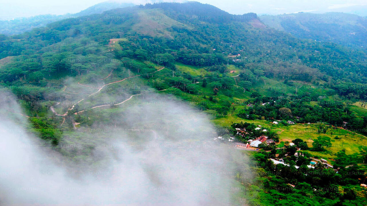 Excursión a la aldea de Heeloya desde Kandy