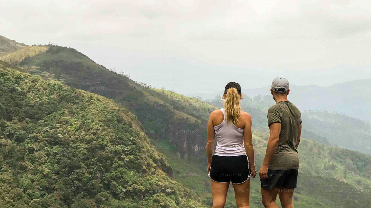 Excursión a la aldea de Heeloya desde Kandy