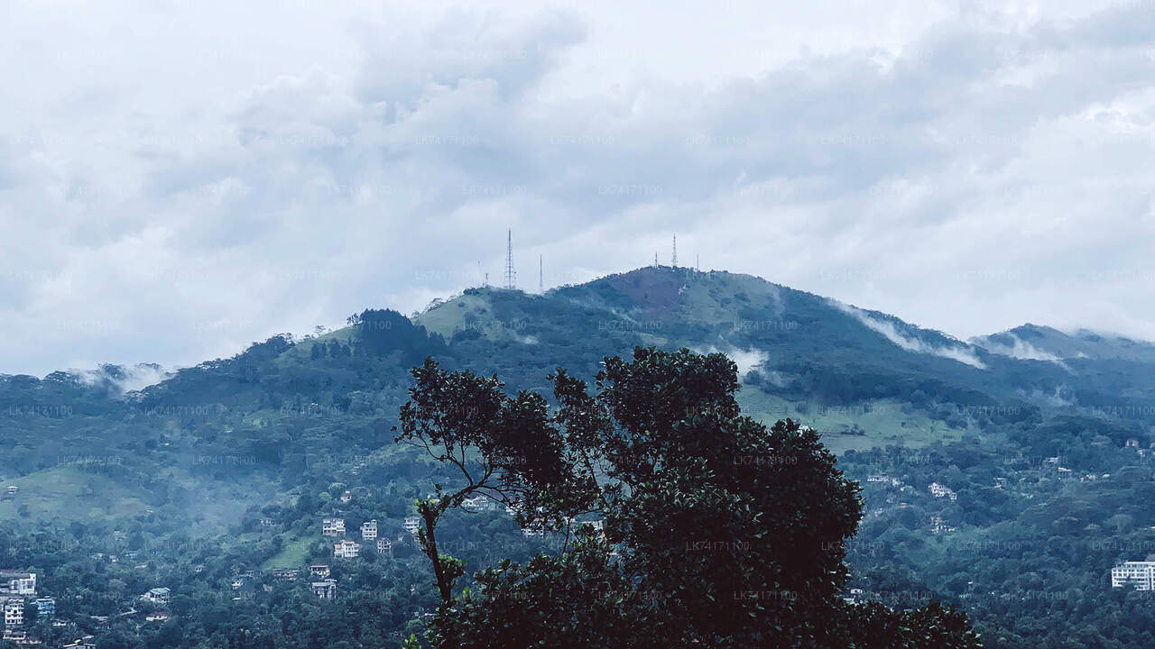 Excursión a la aldea de Heeloya desde Kandy