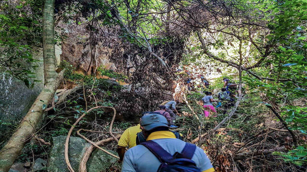 Caminata a la roca circular de Danigala desde Aaralaganwila