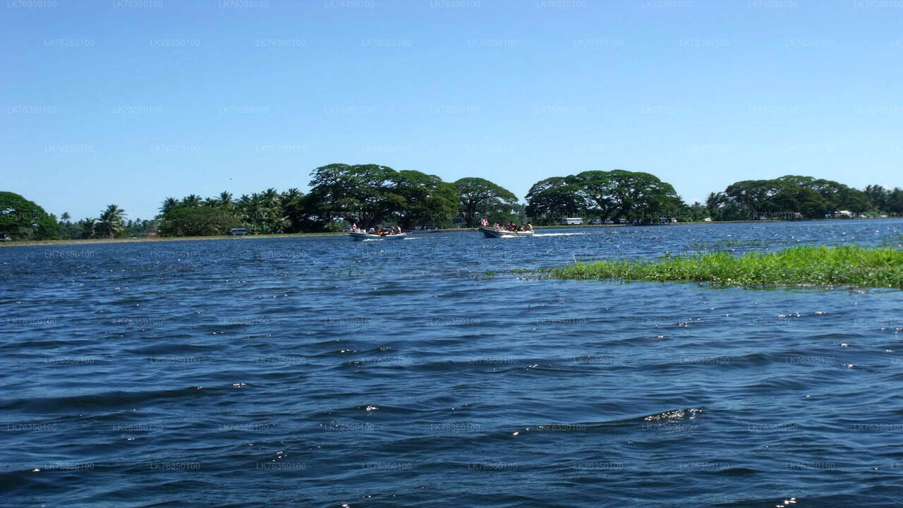 Paseo en barco por el lago Tissamaharama