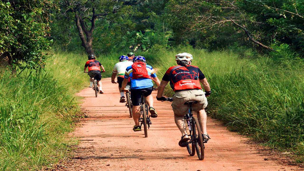 Recorrido en bicicleta por el campo de batalla de Balana desde Kandy