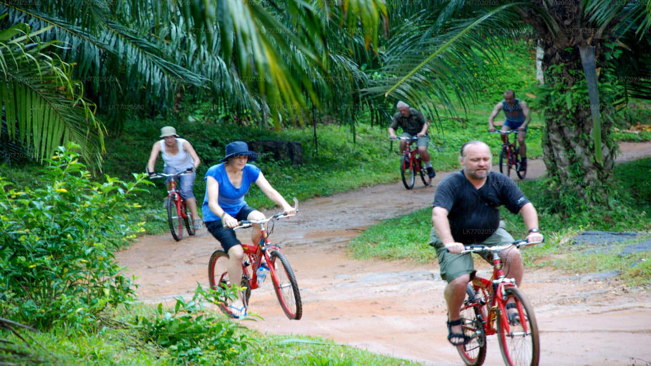 Tour en bicicleta por 3 Temple Loop desde Kandy