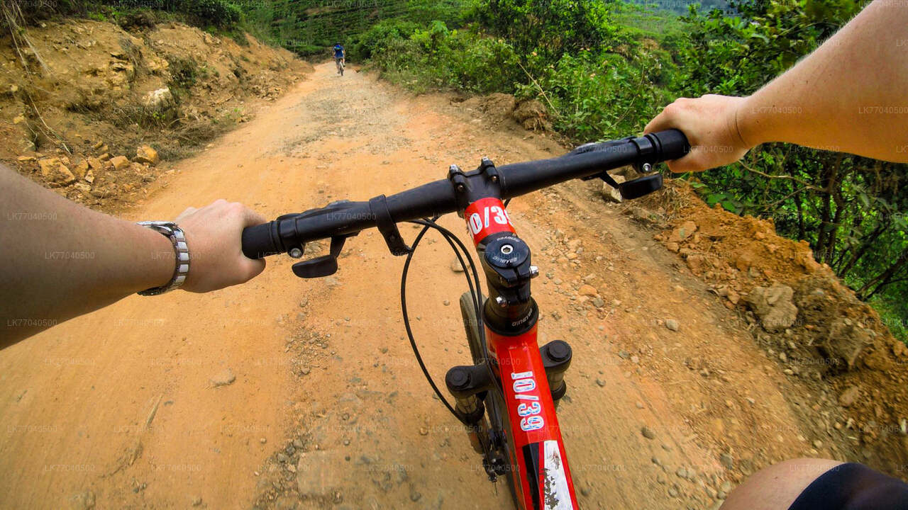 Mountain Biking from Galle