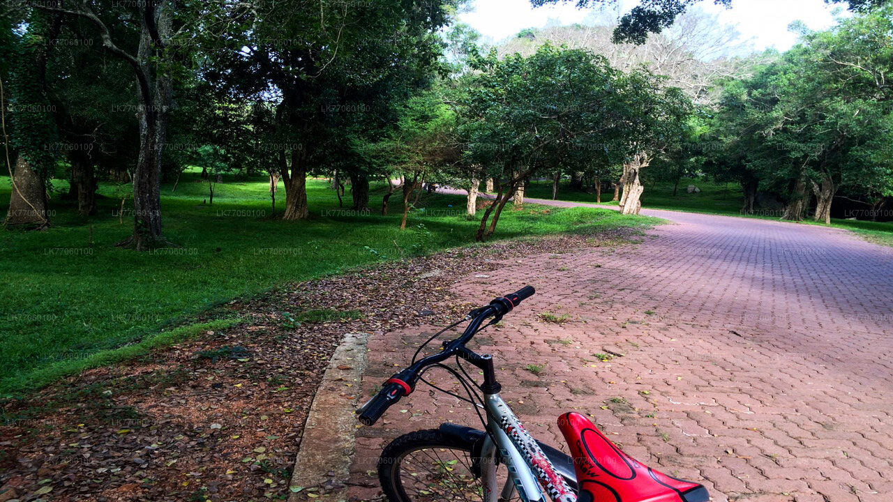 En bicicleta desde Anuradhapura
