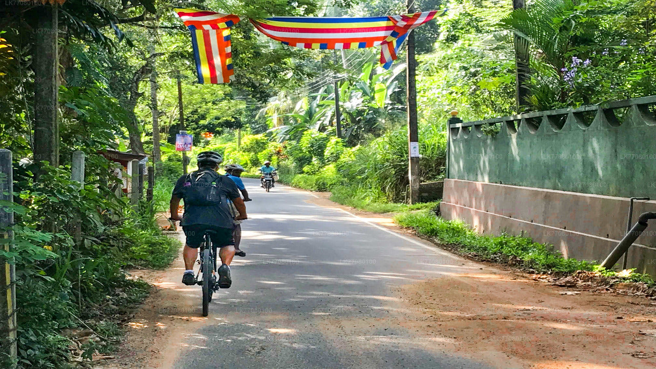 En bicicleta desde Mirissa