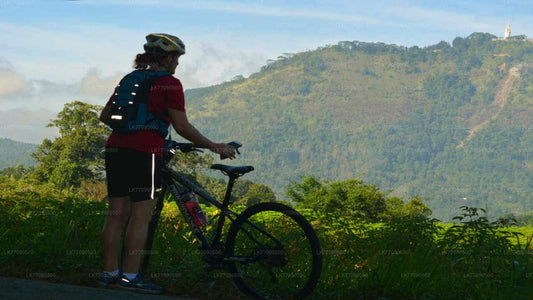 Ellawala Waterfall Cycling Tour from Ella