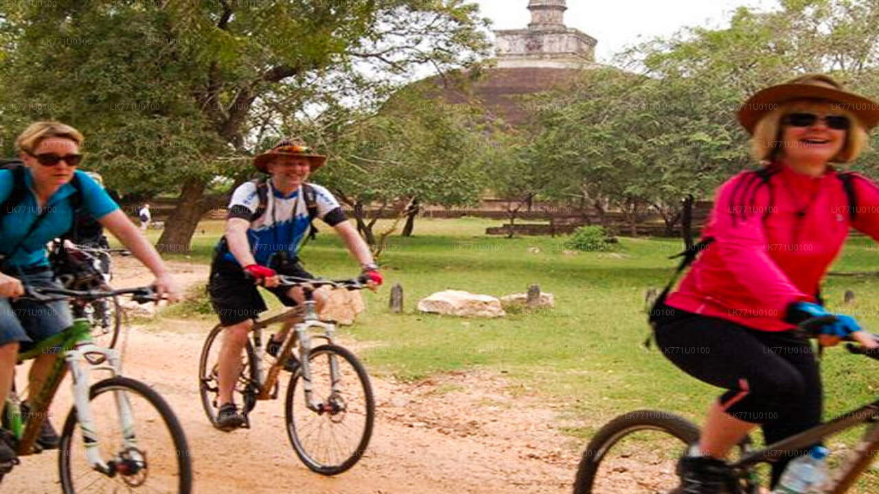 Pedaleando por las ruinas antiguas desde Polonnaruwa