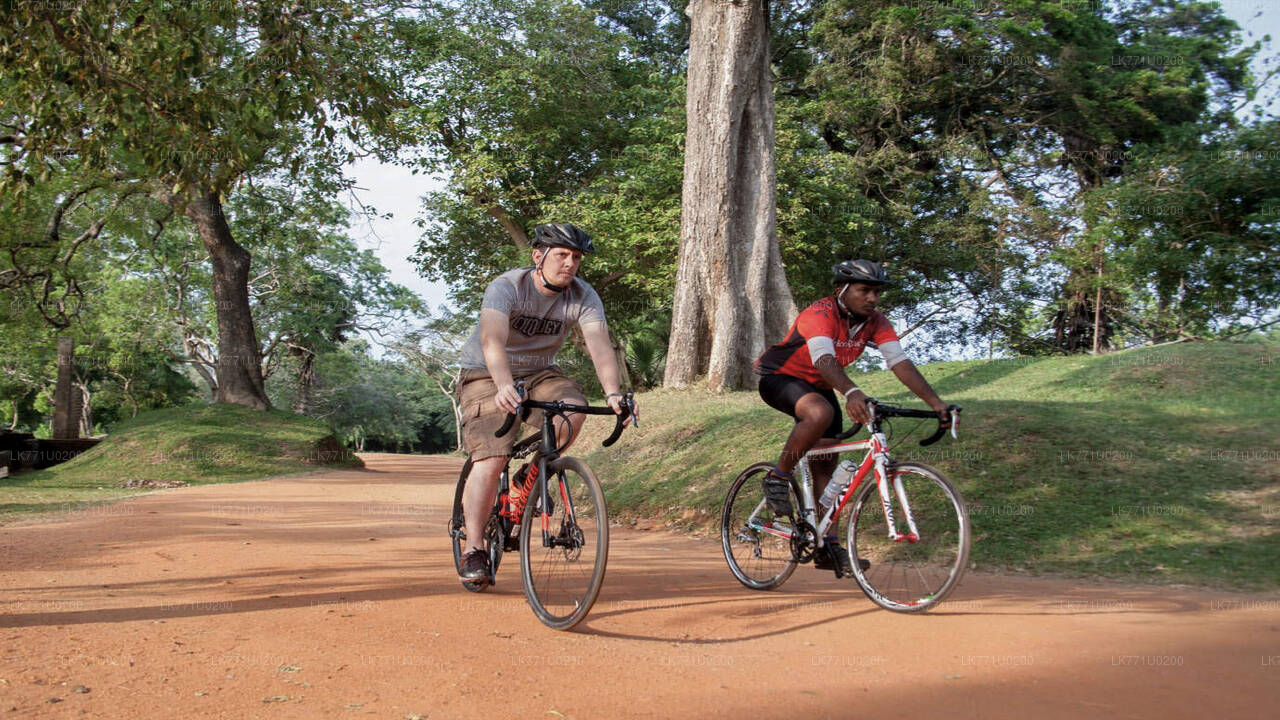 Countryside Cycling from Polonnaruwa
