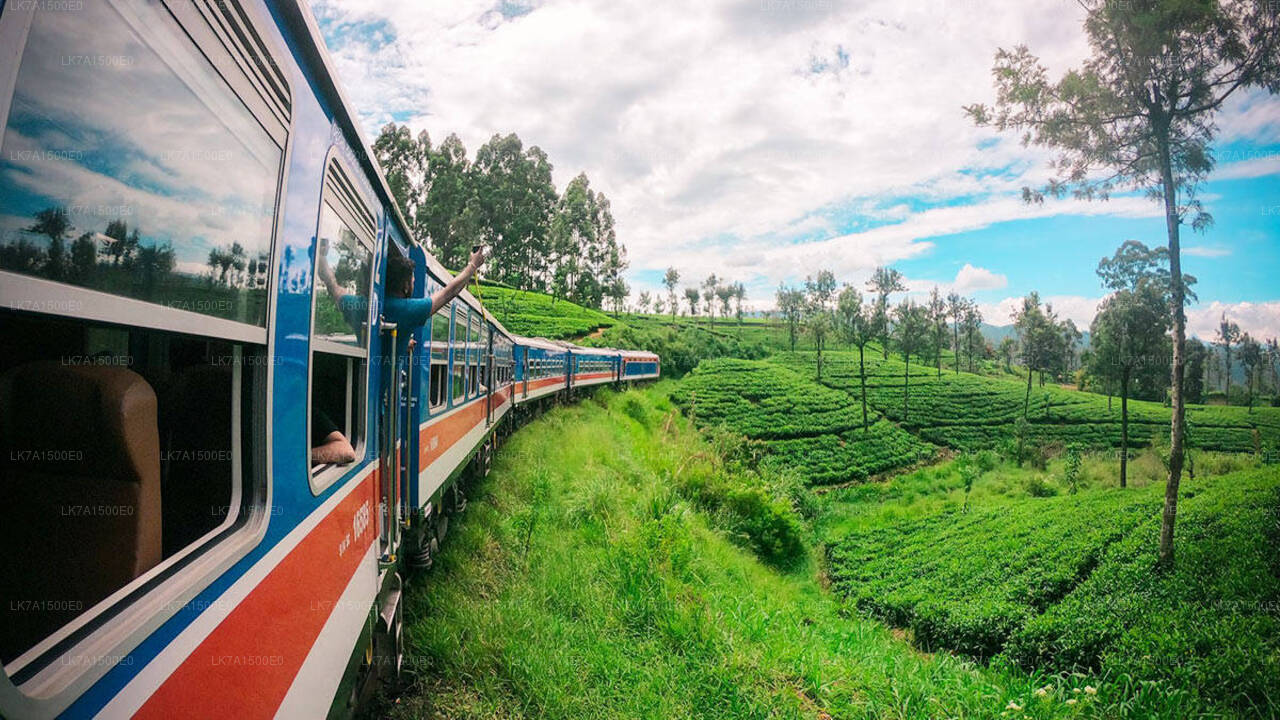 Viaje en tren de Colombo a Ella (número de tren: 1001 «Denuwara Menike»)