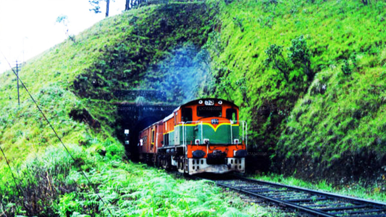 Viaje en tren de Kandy a Nanu Oya (número de tren: 1015 «Udarata Menike»)