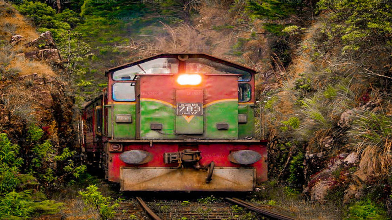 Viaje en tren de Kandy a Nanu Oya (número de tren: 1015 «Udarata Menike»)