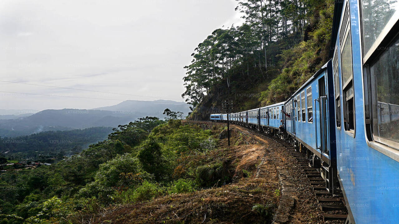 Viaje en tren de Nanu Oya a Ella (número de tren: 1005 «Podi Menike»)