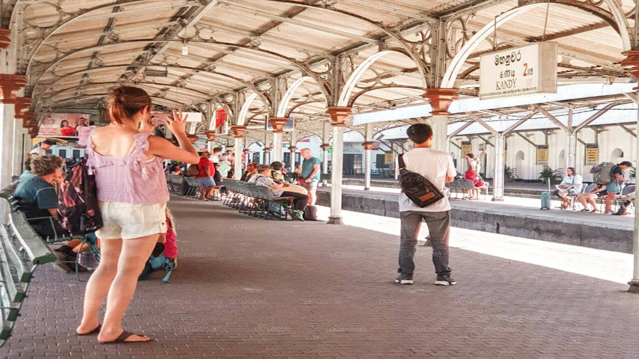 Viaje en tren de Nanu Oya a Ella (número de tren: 1005 «Podi Menike»)