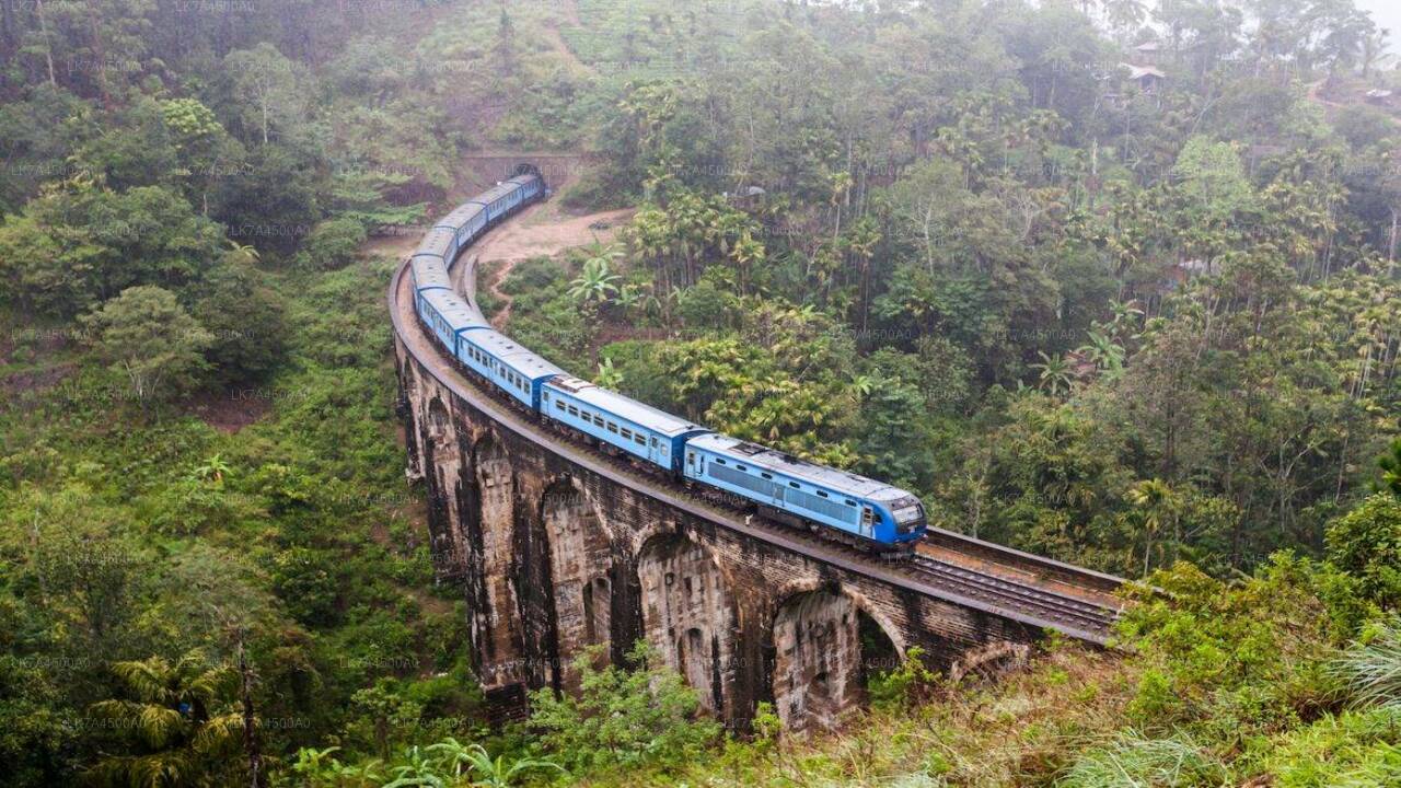 Viaje en tren de Nanu Oya a Ella (número de tren: 1005 «Podi Menike»)