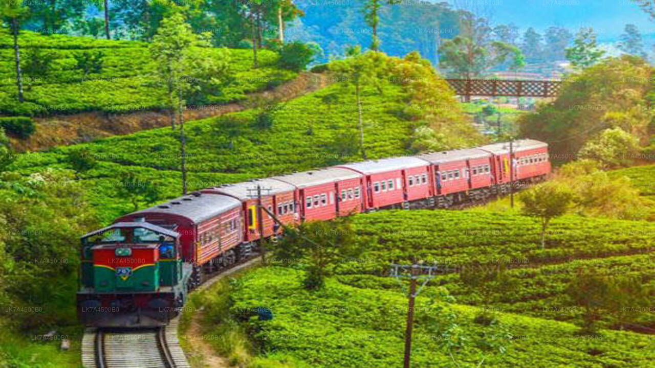 Nanu Oya to Ella train ride on (Train No: 1015 "Udarata Menike")