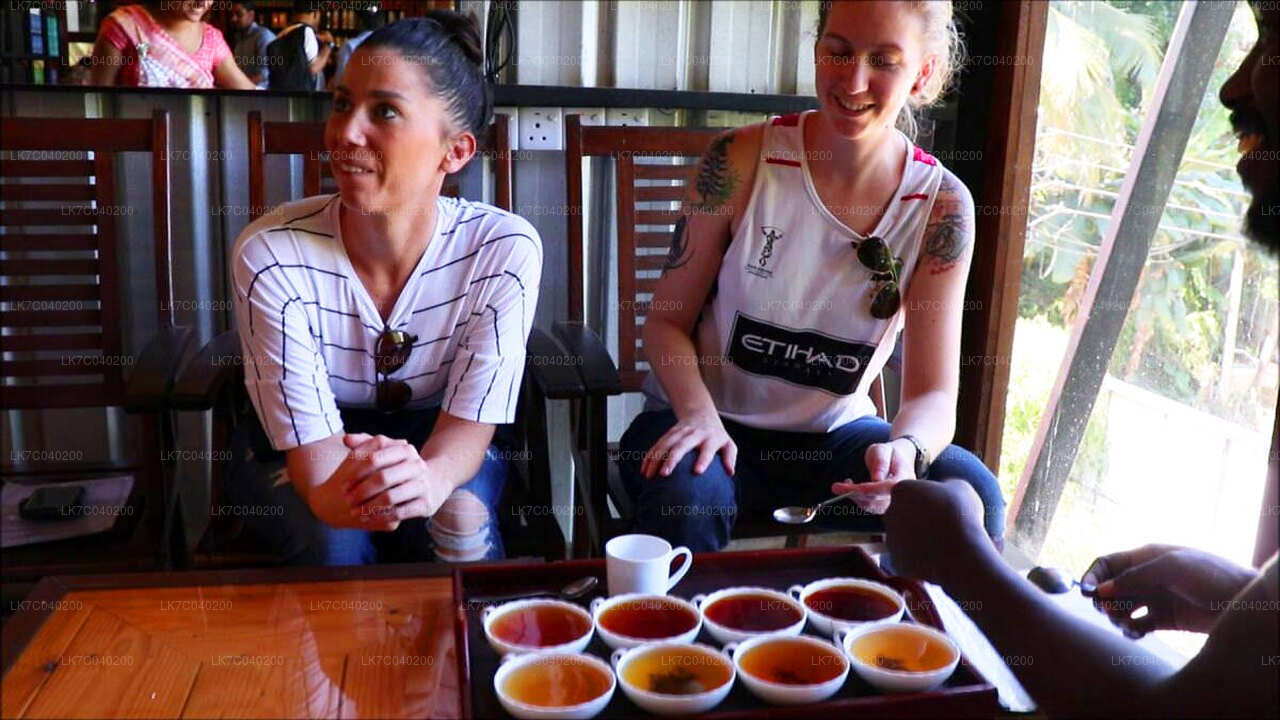 Degustación de té de Ceilán desde Galle