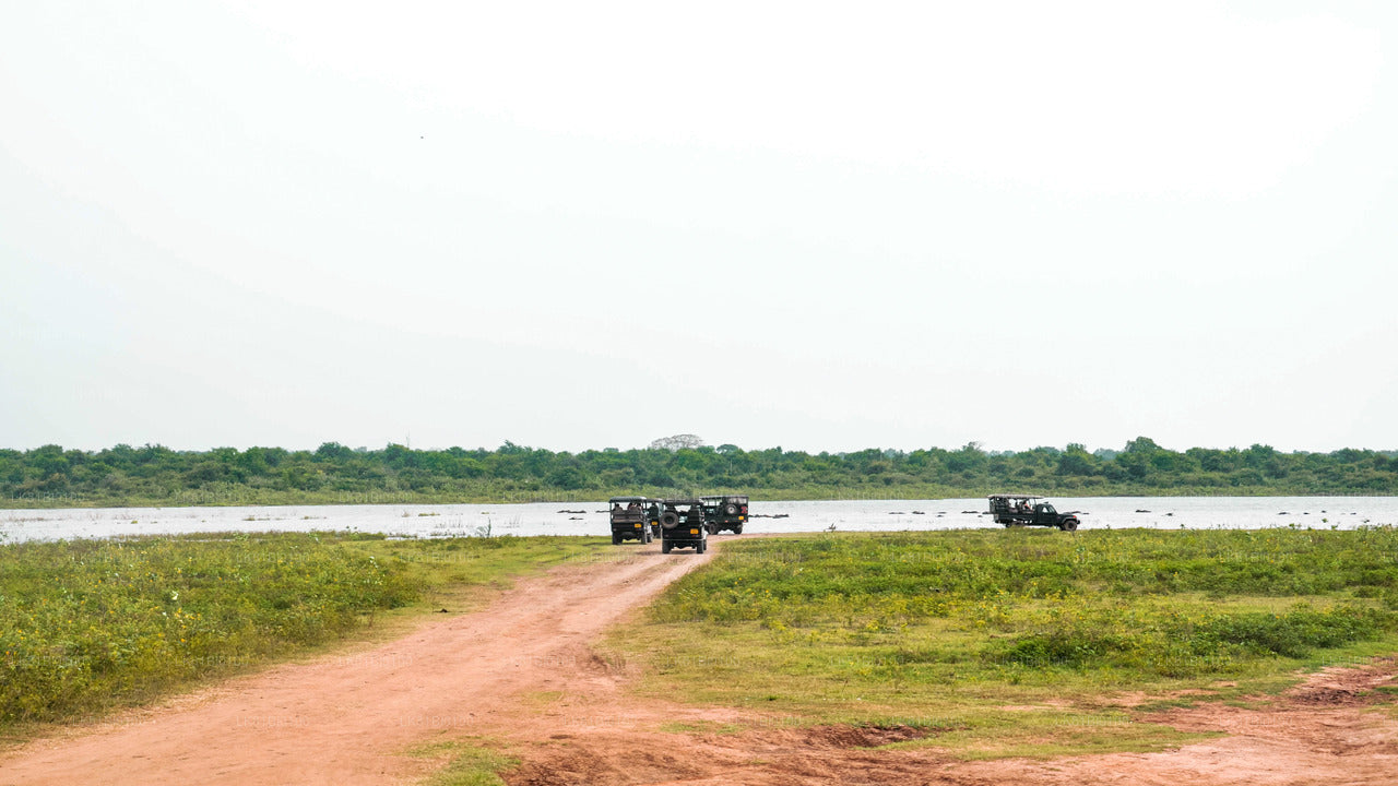 Safari en el Parque Nacional de Udawalawe desde el puerto de Hambantota