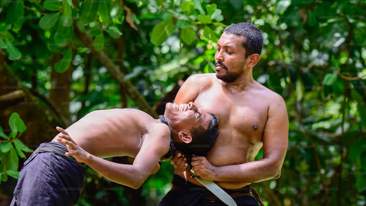 Espectáculo de artes marciales de Angampora desde Colombo