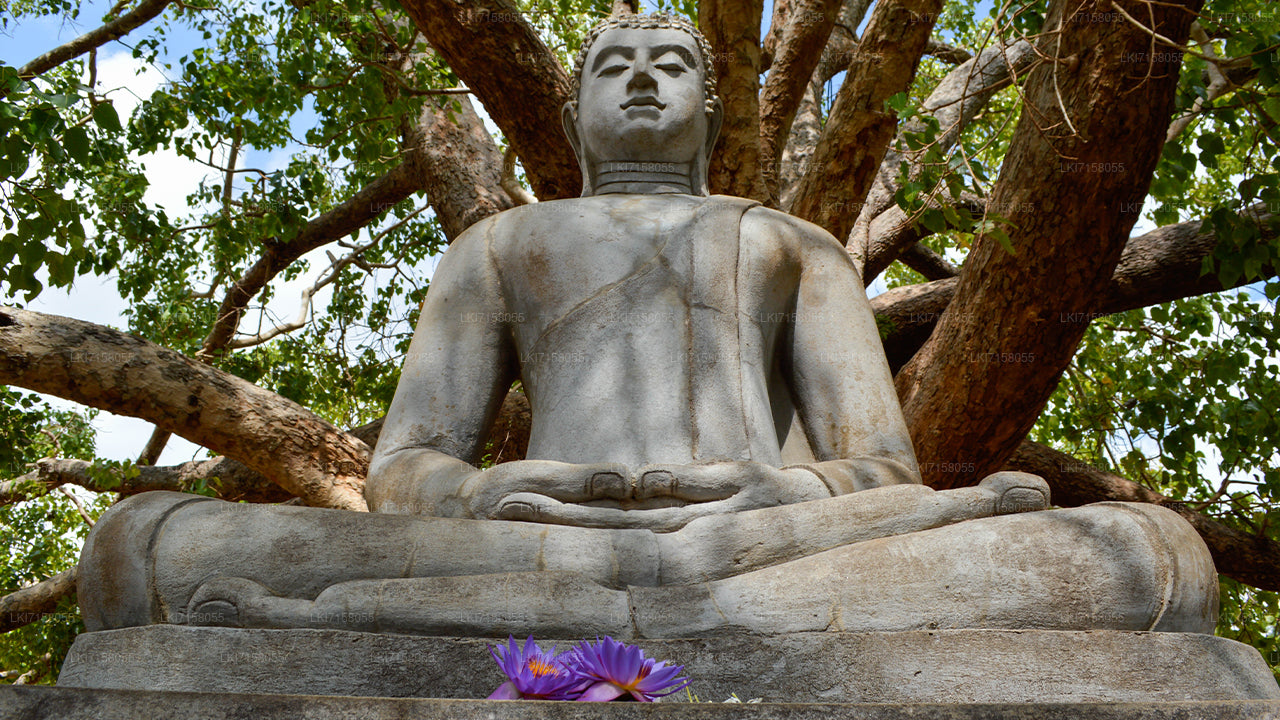 Experiencia espiritual de Anuradhapura