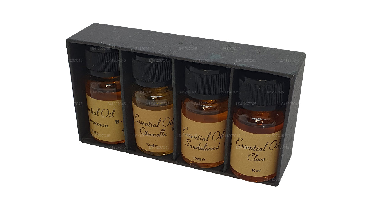 Paquete de aceites esenciales Siddhalepa (4 x 10 ml)